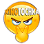 favicon di kinovibe.co