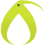 favicon kiwifarms.pa