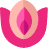 favicon de kushub.net