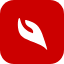 favicon labaiq.com