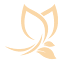 favicon de lineayfigurabolivia.com