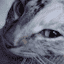 favicon de malamations.com