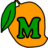 mangolinkcam.com-Favicon