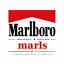 favicon marlo-us.com
