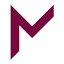 mega.lt-Favicon