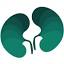 favicon melbournekidneycare.com.au