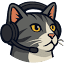 favicon de metasrc.com