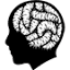 favicon de mindmaggot.com