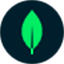 favicon mongodb.com