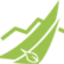 naturaph.pl-Favicon