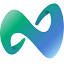 favicon de nexus.vin