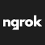 ngrok.com-Favicon
