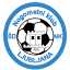 nkljubljana.si-Favicon