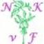 favicon di nkvf.nl