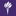 nyu.edu favicon