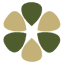 nzstarch.co.nz-Favicon