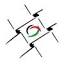 favicon palestinianyouthmovement.com