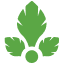 favicon parsely.com