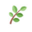 patelmart.in-Favicon