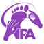 favicon pavelakimau.com