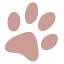 pawchive.pw-Favicon