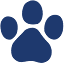 favicon de pawpatrollive.com