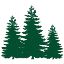 petersonpt.com-Favicon
