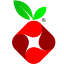 favicon de pi-hole.net