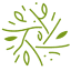 pinkpine.ie-Favicon