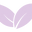 favicon de pipitea.com