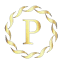 favicon de pitdrives.com