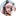 favicon di playafterdark.com