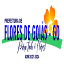 portal.floresdegoias.go.gov.br-Favicon