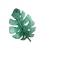 favicon di portdouglaspenthouse.com.au