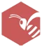 prasannainternational.com-Favicon