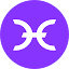 punodex.com-Favicon