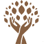 favicon de rightnowpath.net