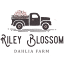 rileyblossom.com favicon