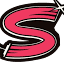 sadiesprocleaning.com-Favicon