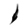 favicon scentsnstories.pk