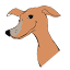 favicon de schronisko.szczecin.pl