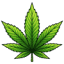 seedmasters.com-Favicon