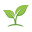 silazhizni.com-Favicon