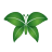favicon di sipylus.com