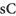 favicon smallcaps.com.br