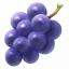 sonomawinegrape.org-Favicon