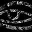 favicon de striebyphotography.com