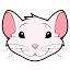 favicon di stuartexchange.com