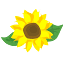 favicon de sunflower.agency