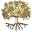 swband.co-Favicon